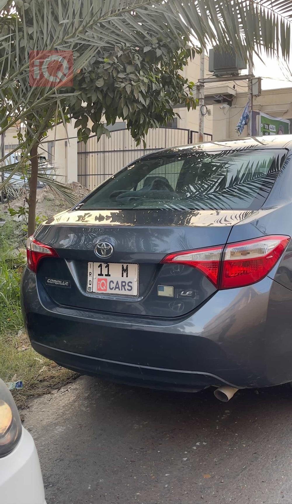 تويوتا كورولا